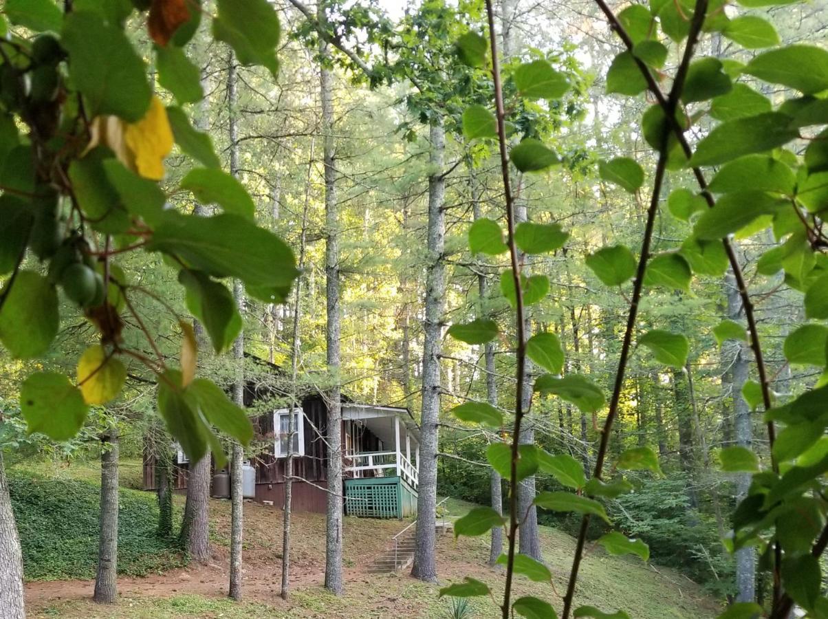 The Cabins At Healing Springs Crumpler Dış mekan fotoğraf